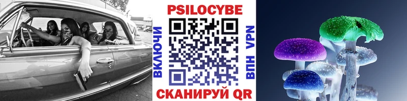 Купить закладки Кириши Галлюциногенные грибы мухоморы